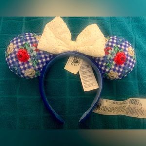 Disney Mickey Ears